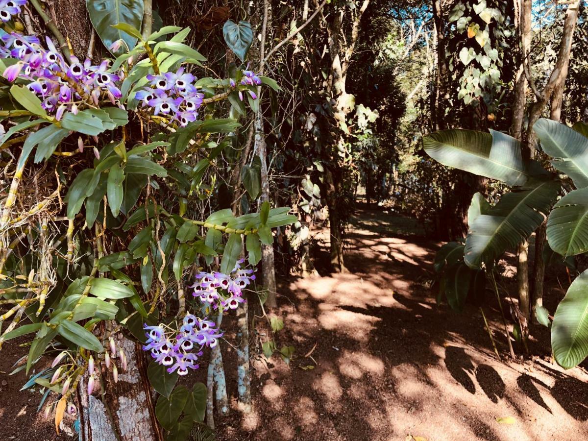 Chacara Quinta Dos Esquilos Villa Cotia  Ngoại thất bức ảnh